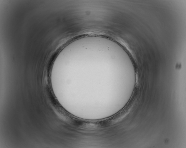 X0000102250205200807250908
