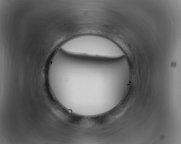 X0000102250207200807250908