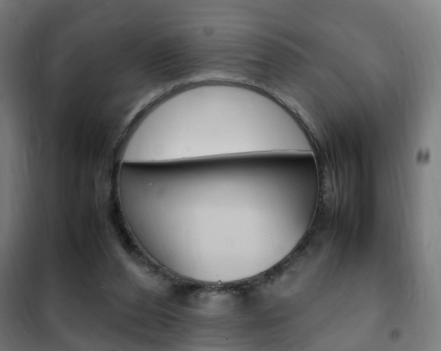 X0000102250208200807250908