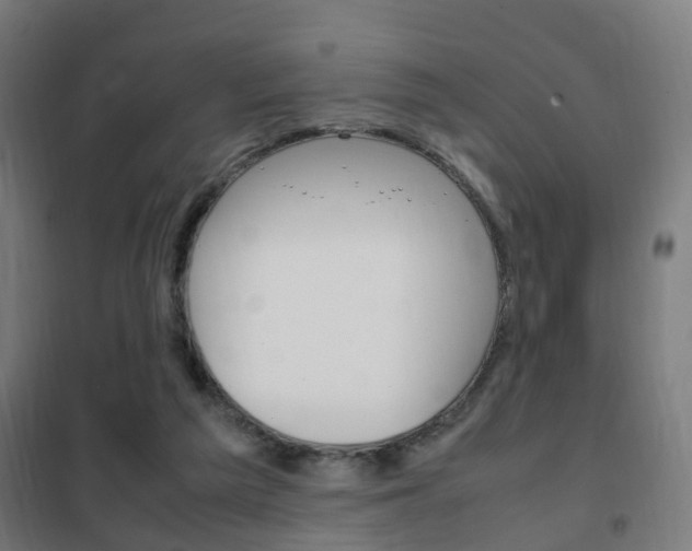 X0000102250209200807250908