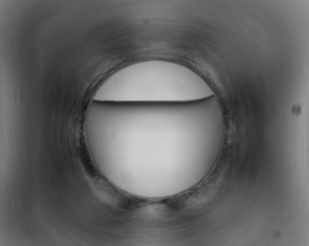 X0000102250210200807250908