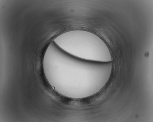 X0000102250211200807250908