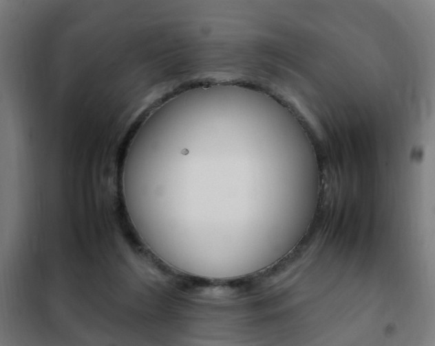 X0000102250212200807250908