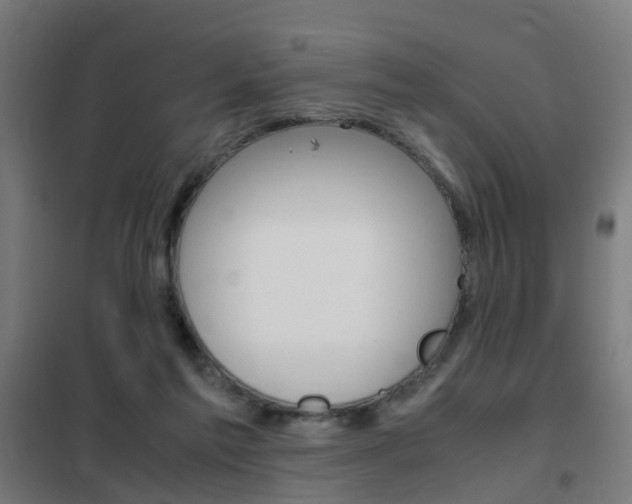 X0000102250213200807250908