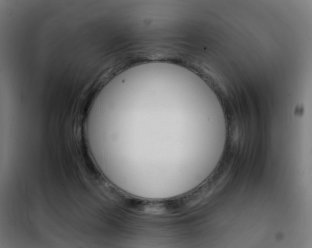 X0000102250214200807250908