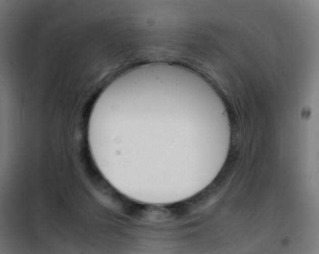 X0000102250215200807250908