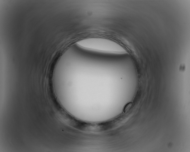 X0000102250217200807250908