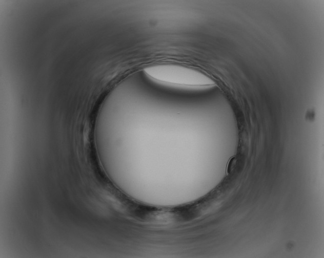 X0000102250219200807250908