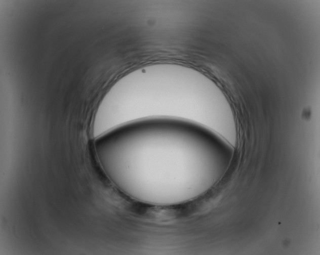 X0000102250221200807250908