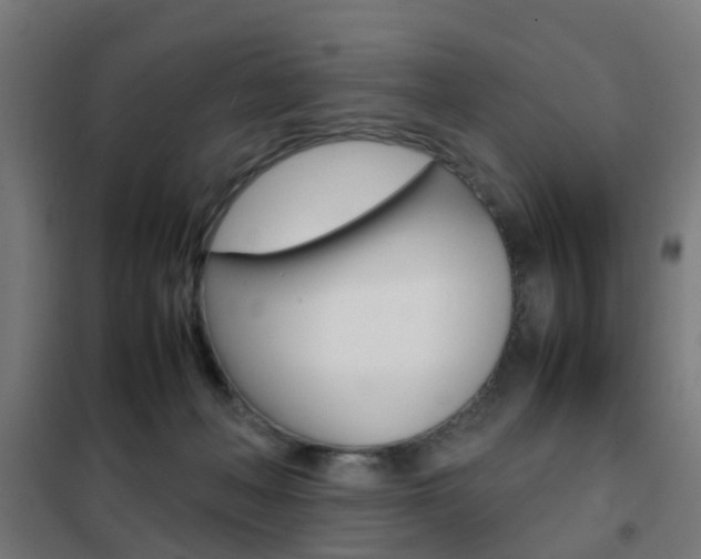 X0000102250222200807250908
