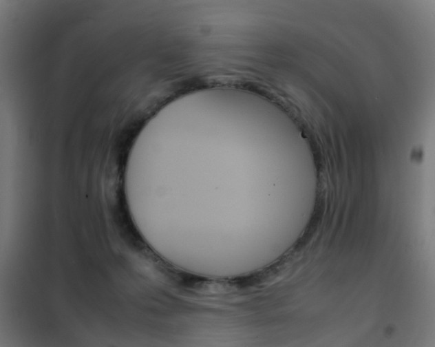 X0000102250223200807250908