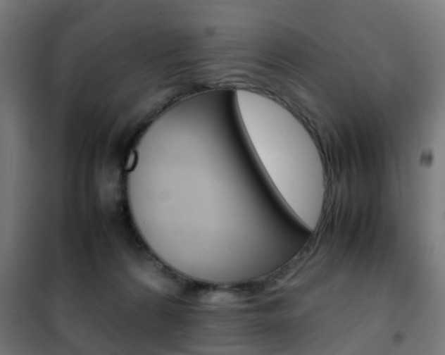 X0000102250224200807250908