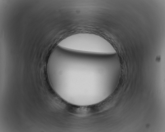 X0000102250225200807250908