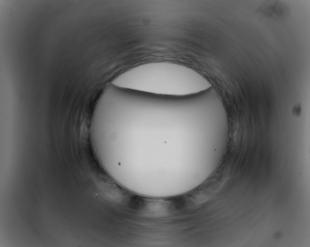 X0000102250226200807250908