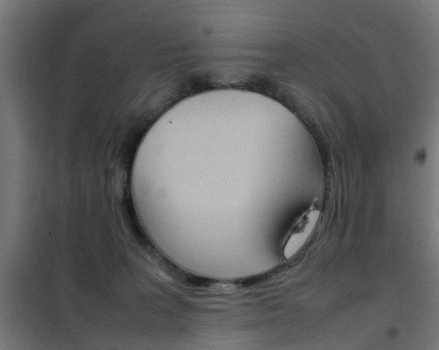 X0000102250227200807250908