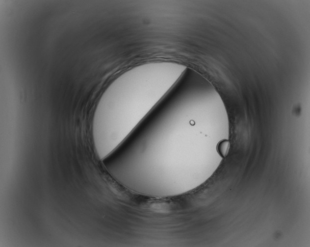 X0000102250228200807250908