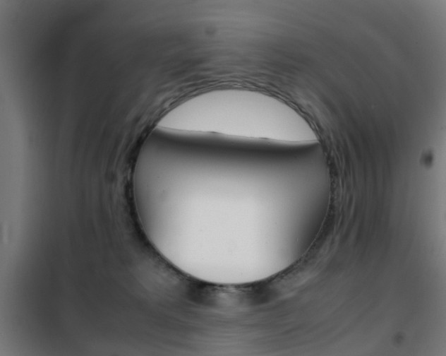 X0000102250229200807250908