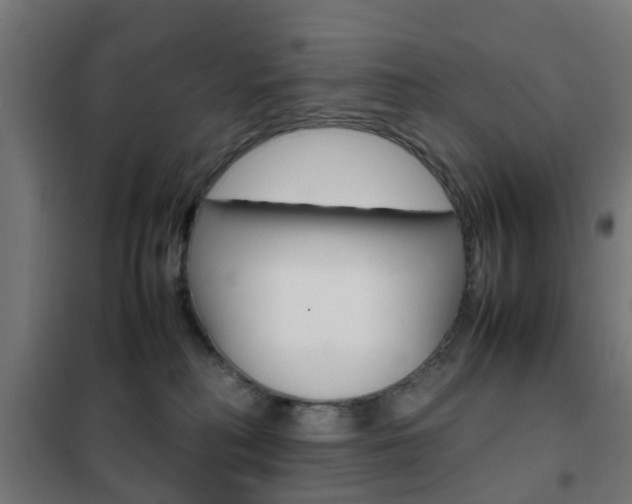 X0000102250230200807250908