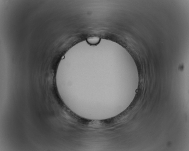 X0000102250231200807250908
