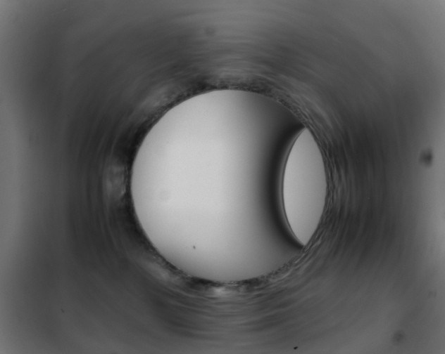 X0000102250232200807250908