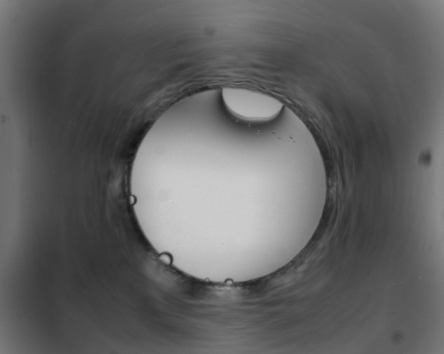 X0000102250233200807250908