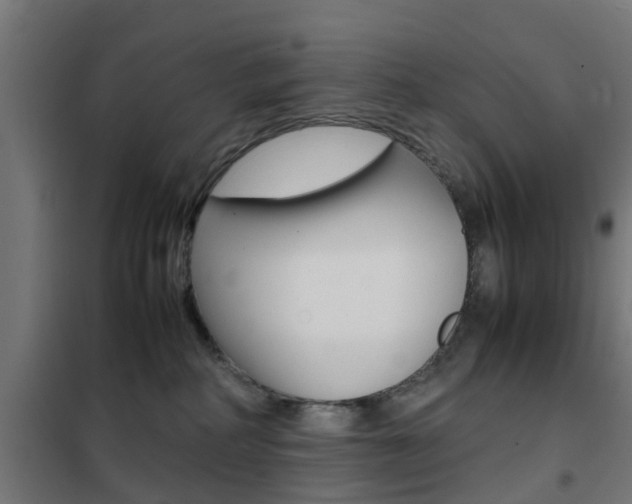 X0000102250234200807250908
