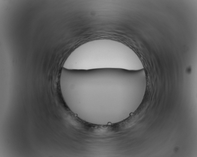 X0000102250235200807250908