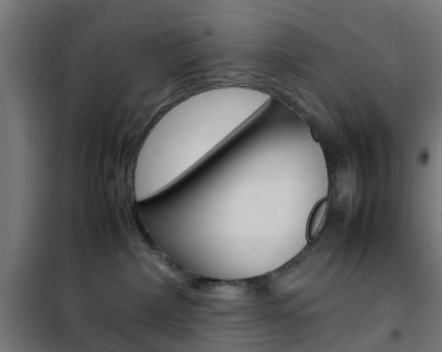 X0000102250236200807250908