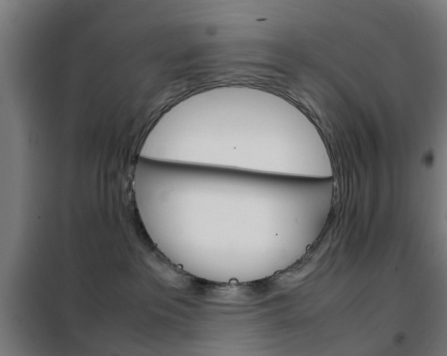 X0000102250237200807250908