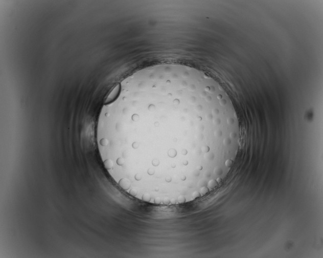X0000102250238200807250908