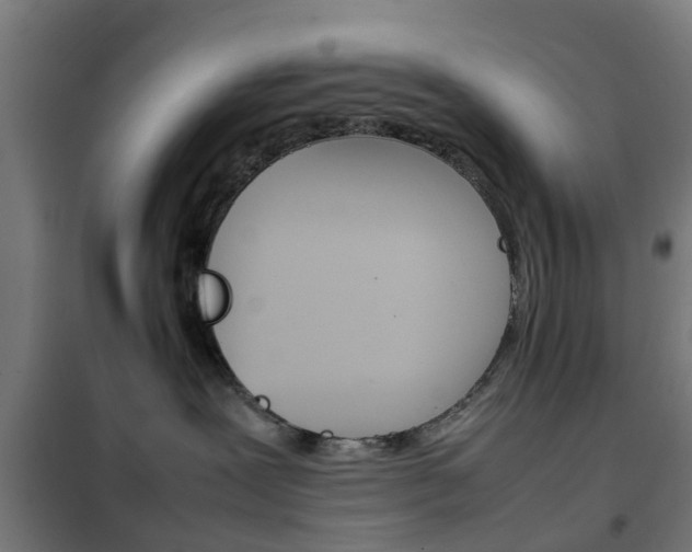 X0000102250239200807250908