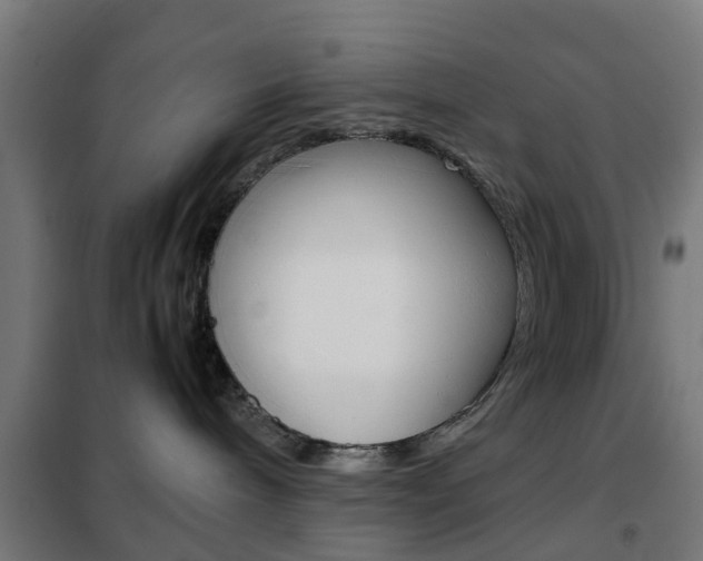X0000102250240200807250908