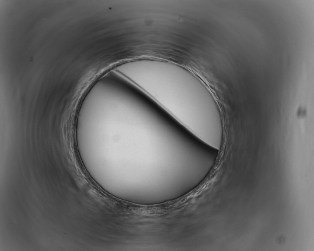 X0000102250241200807250907