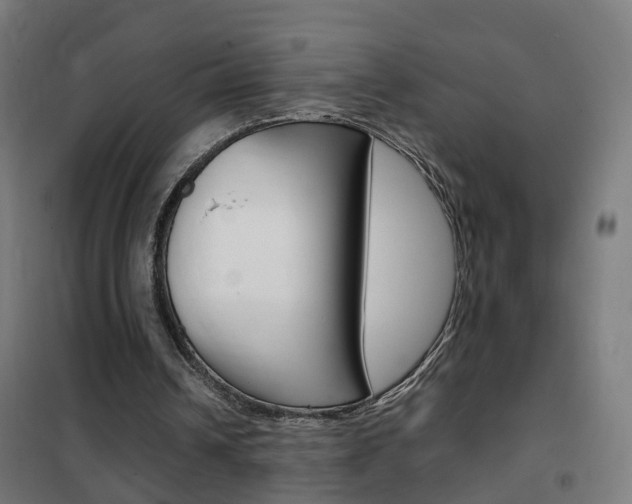 X0000102250242200807250907