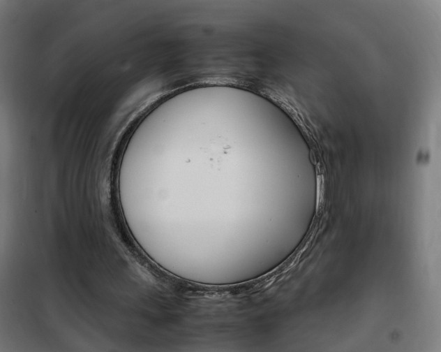 X0000102250243200807250907