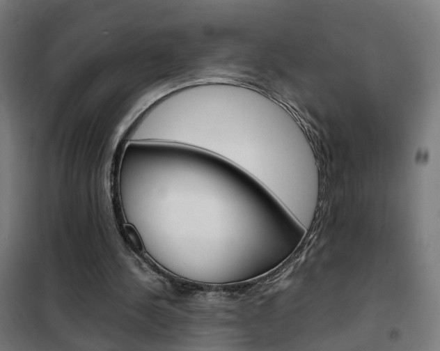 X0000102250244200807250907