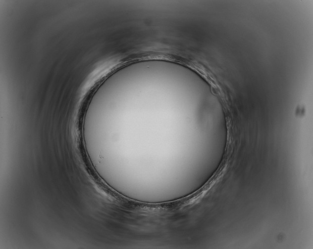 X0000102250245200807250907