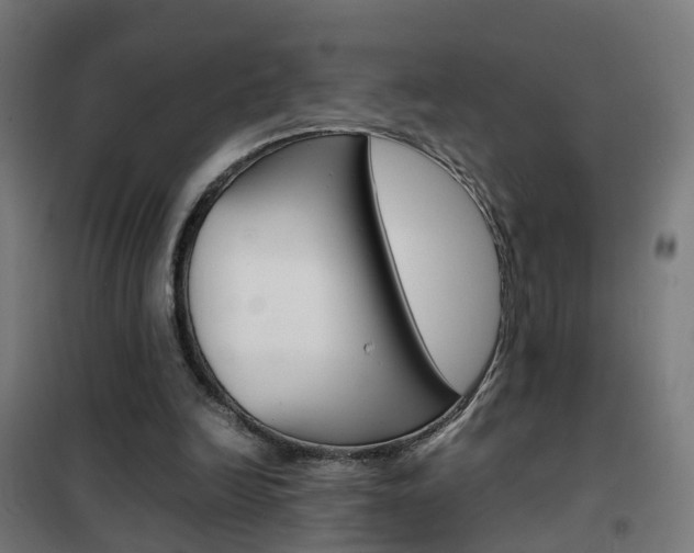 X0000102250246200807250907