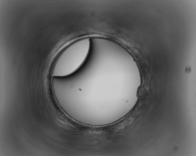 X0000102250247200807250907