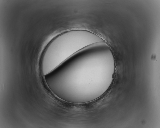 X0000102250248200807250907