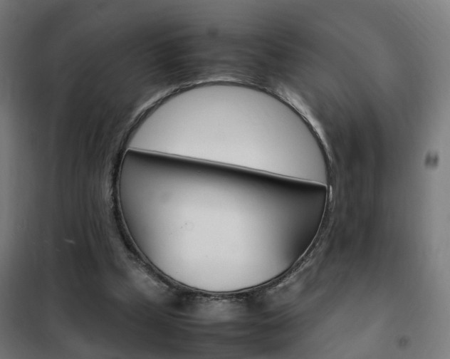X0000102250249200807250907