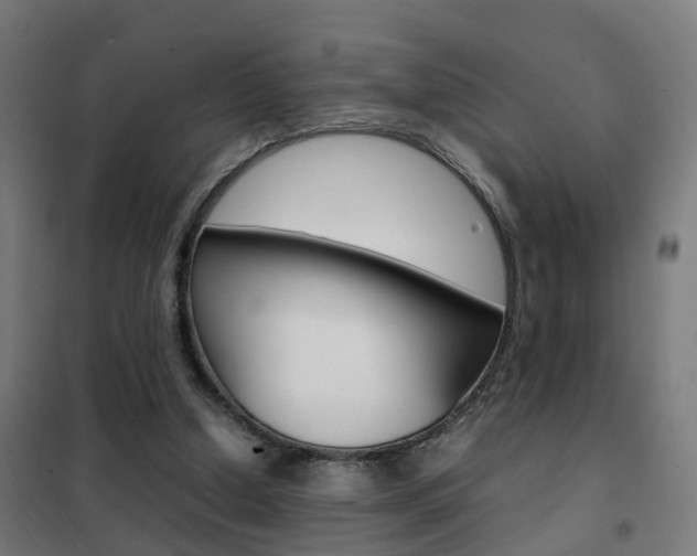 X0000102250250200807250907