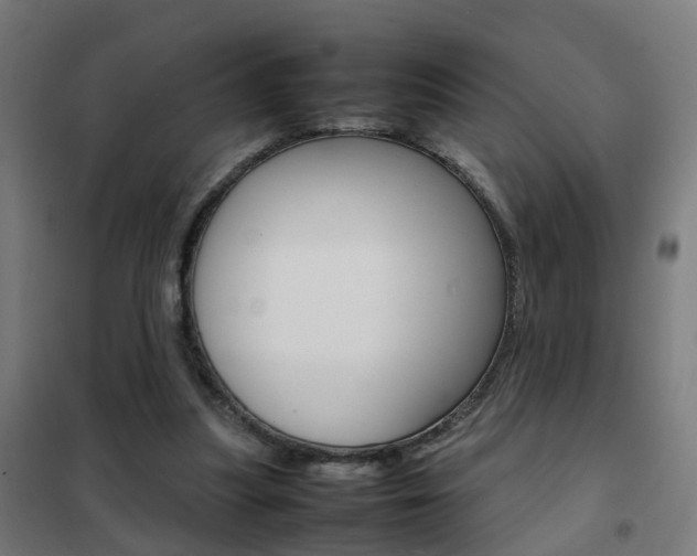 X0000102250251200807250907