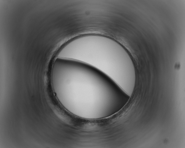 X0000102250252200807250907