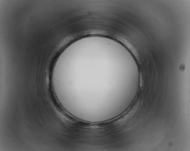 X0000102250253200807250907
