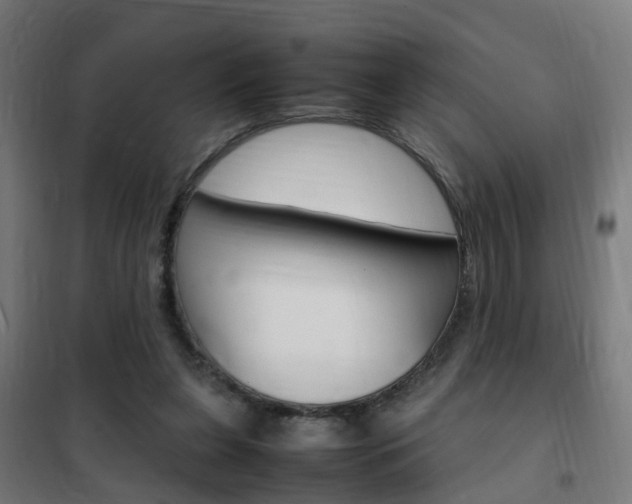X0000102250255200807250907