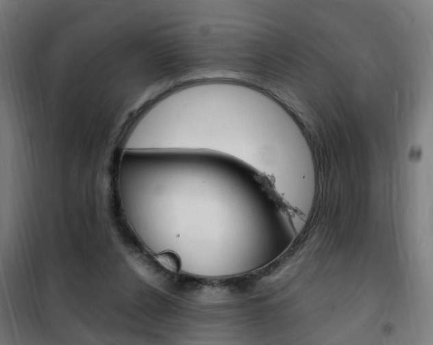 X0000102250256200807250907