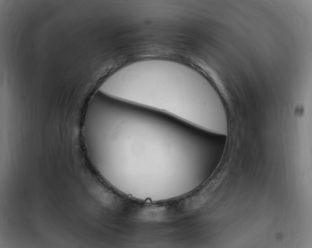 X0000102250257200807250907