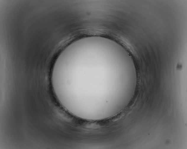 X0000102250258200807250907