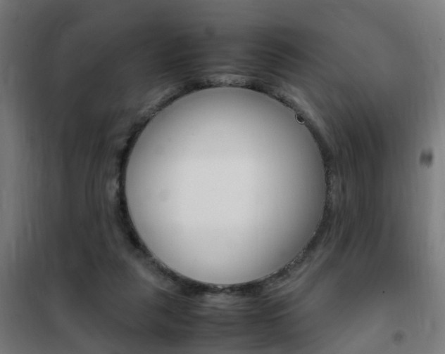 X0000102250259200807250907